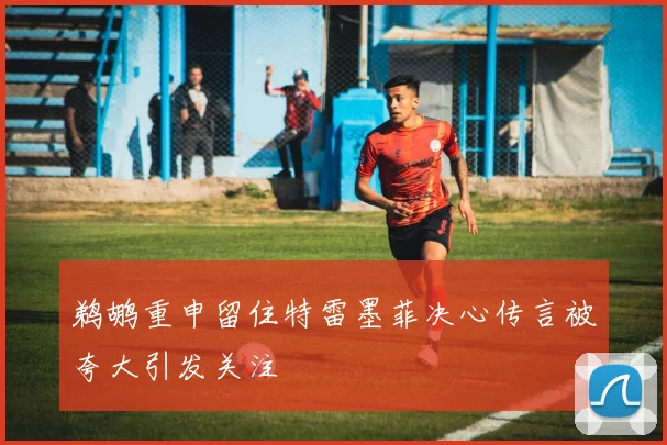 鹈鹕重申留住特雷墨菲决心传言被夸大引发关注